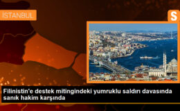 Filinistin’e destek mitingindeki yumruklu saldırı davasında sanık hakim karşında