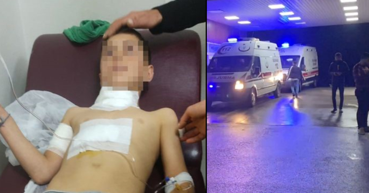10 yaşındaki Ahmet, sahipli köpeğin saldırısında yaralandı