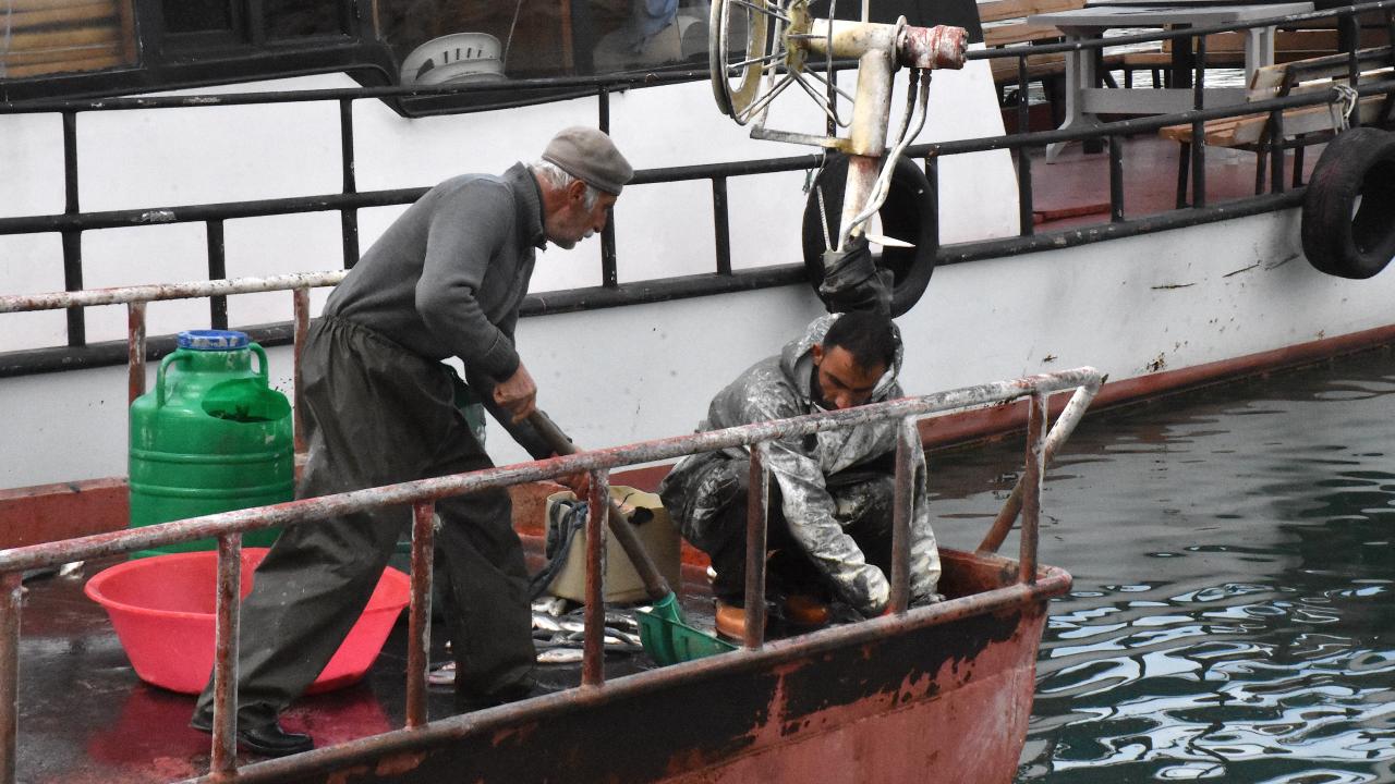 İnci kefalinin göç yolculuğuna sıkı takip